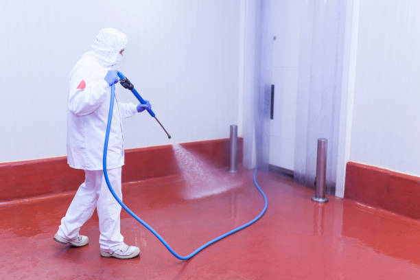 Best Factory Floor Cleaning  in Redlands, CO